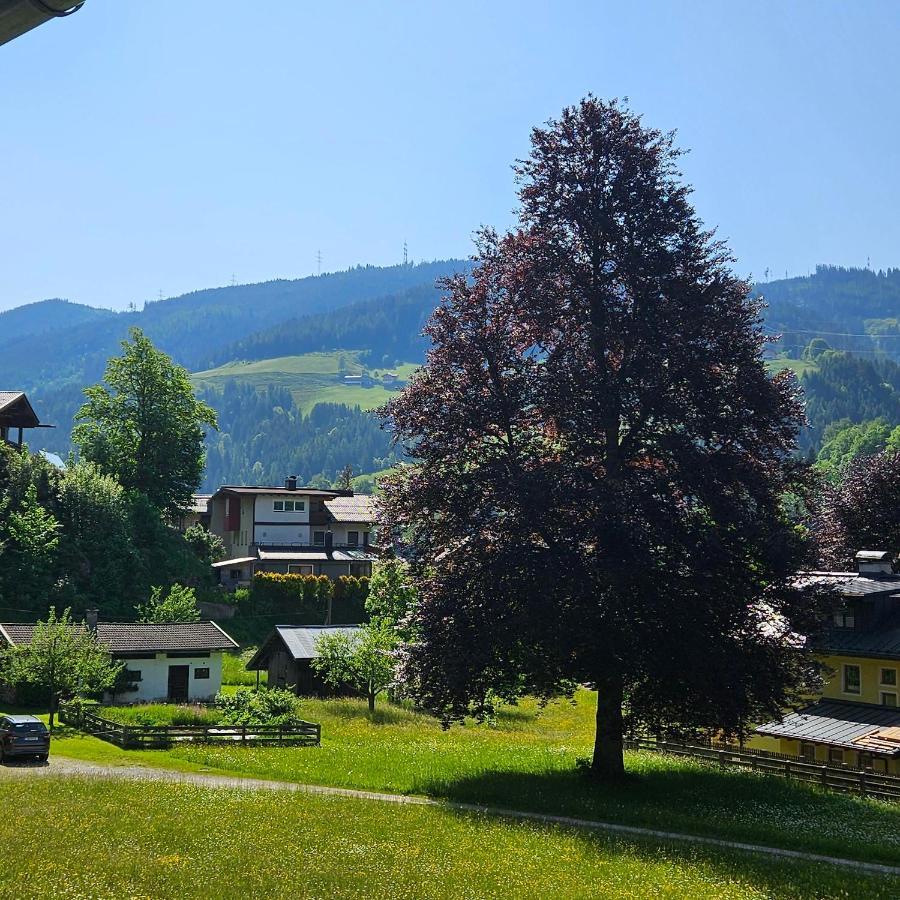Haus Meikl Mühlbach am Hochkönig Εξωτερικό φωτογραφία