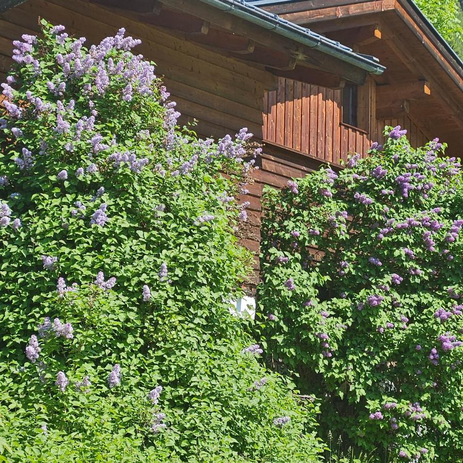 Haus Meikl Mühlbach am Hochkönig Εξωτερικό φωτογραφία
