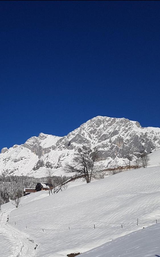 Haus Meikl Mühlbach am Hochkönig Εξωτερικό φωτογραφία