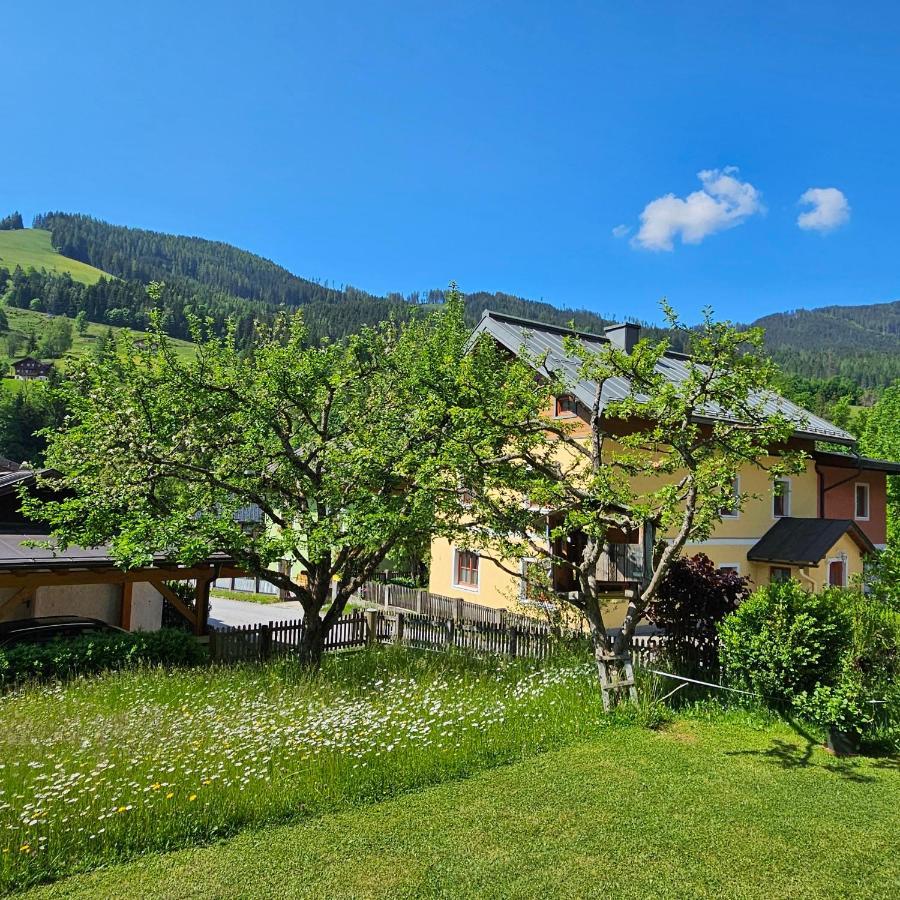 Haus Meikl Mühlbach am Hochkönig Εξωτερικό φωτογραφία